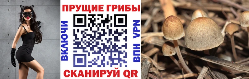 Галлюциногенные грибы мицелий  Конаково 